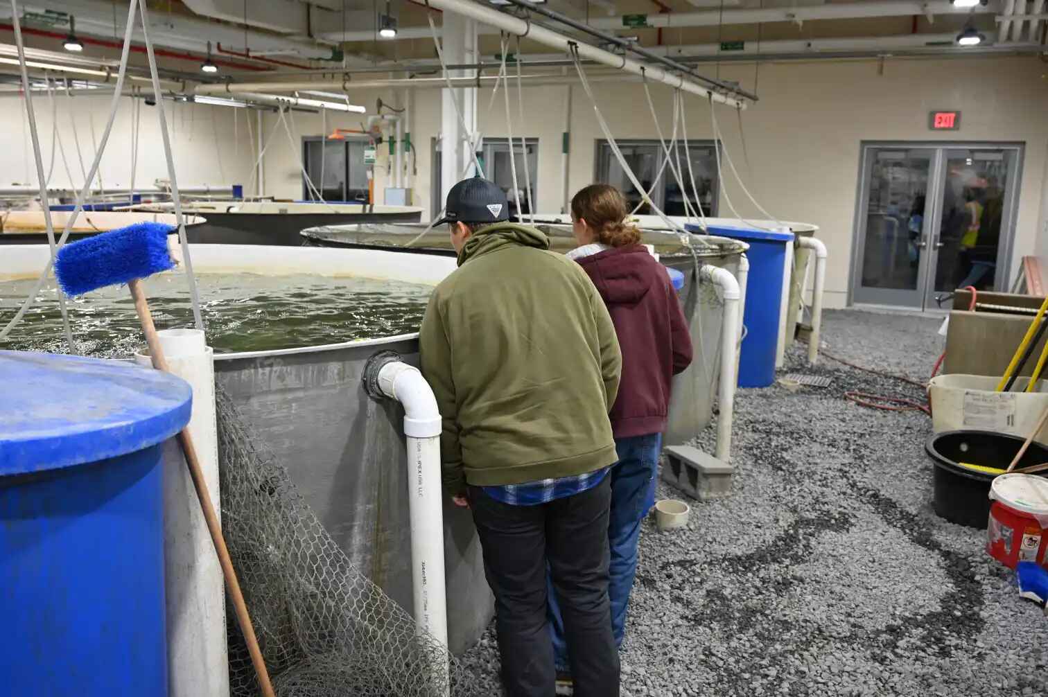 Fish hatchery tanks and aquaculture facilities