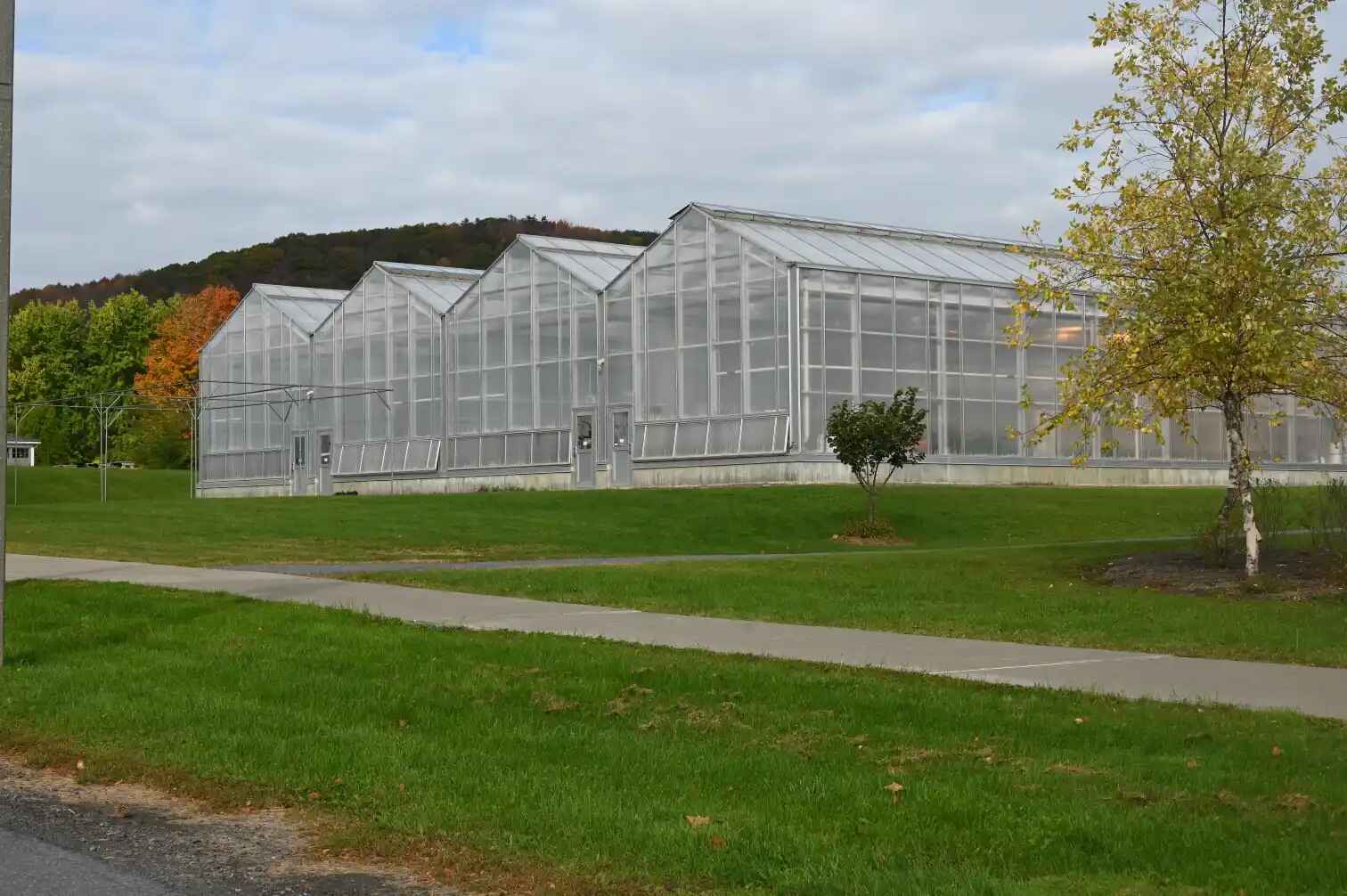 Greenhouse with plants and research